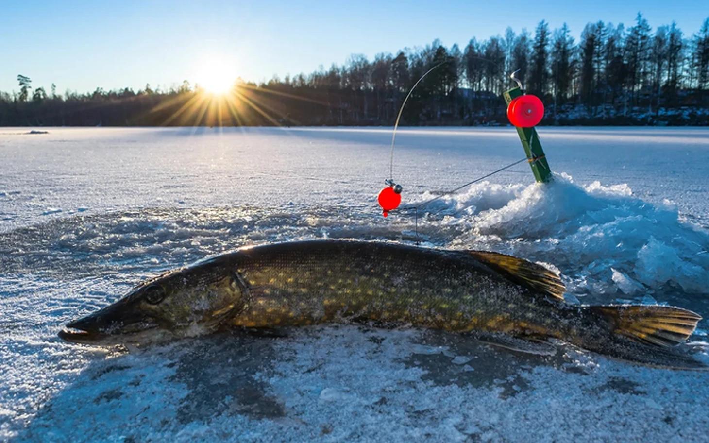 Melhores locais para pesca no inverno - Fórum de entusiastas